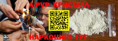 тгк Канаш