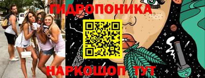 тгк Канаш