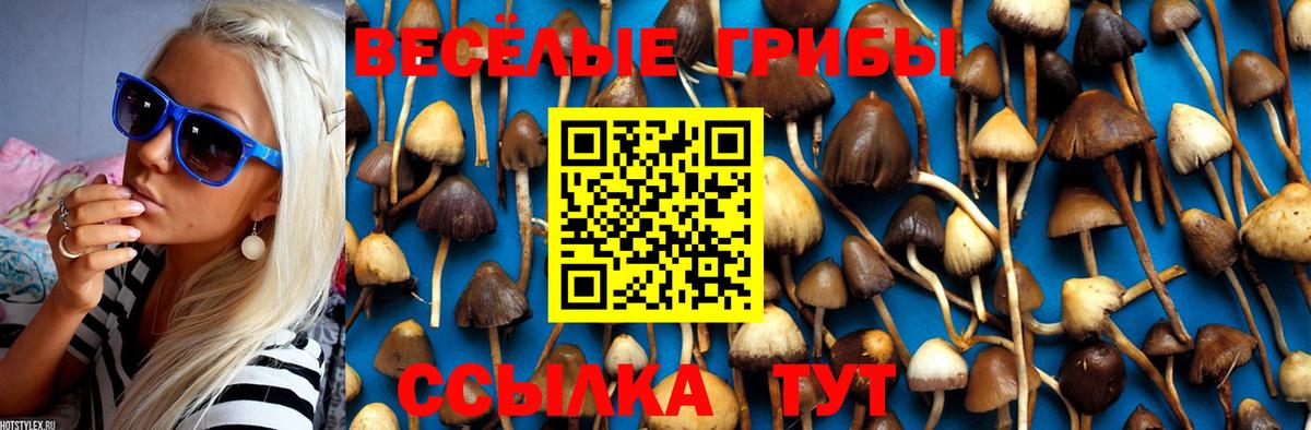 Галлюциногенные грибы Psilocybine cubensis Усинск