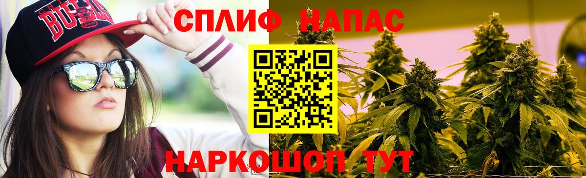 Каннабис сатива Усинск